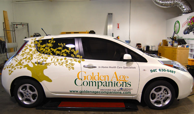 GoldenAgeCompanions