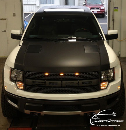 Raptor Hood Roof